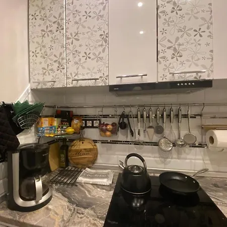 Frendly Flat Free Wifi & Parking Kitchen Equipment Cosy Apartment *